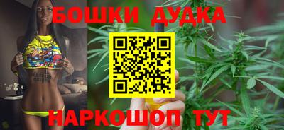 индика Краснокаменск