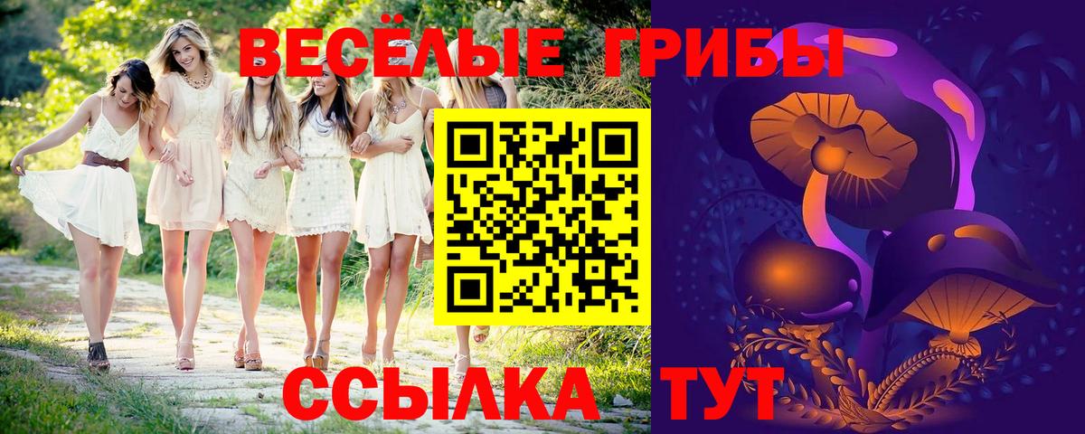 Псилоцибиновые грибы ЛСД  Псилоцибиновые грибы GOLDEN TEACHER  Красноармейск  Вход с VPN 